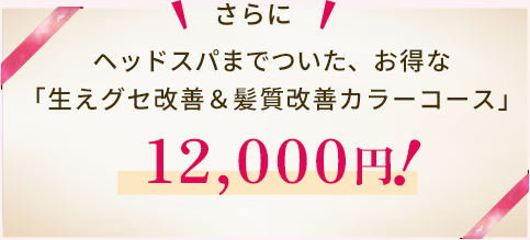 トリートメント・ヘッドスパがついたライトコース7,700円