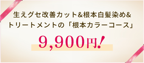 白髪染めトライアルコース6,600円